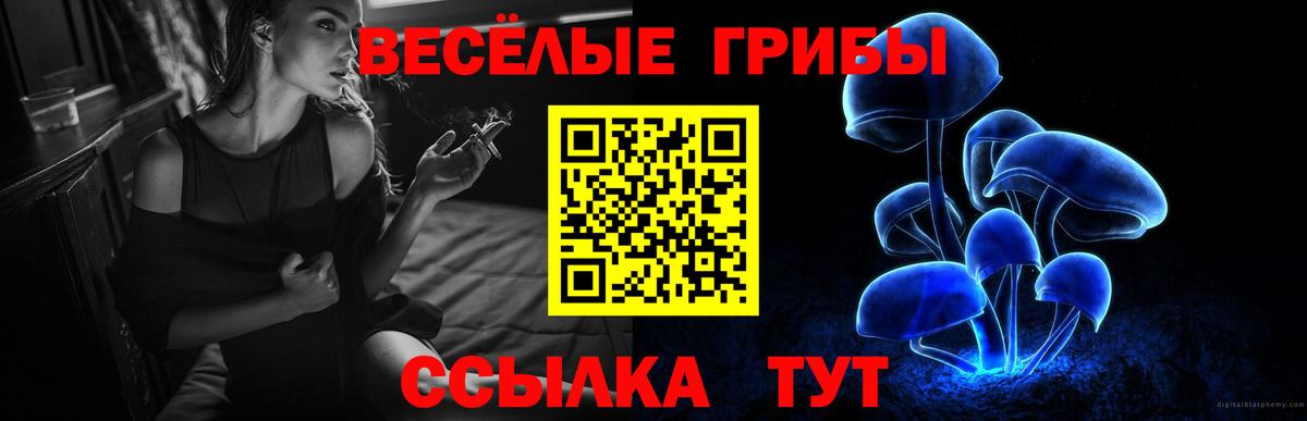 Галлюциногенные грибы Cubensis Ахтубинск